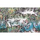 Wall mural graffiti in green Wall mural graffiti in green