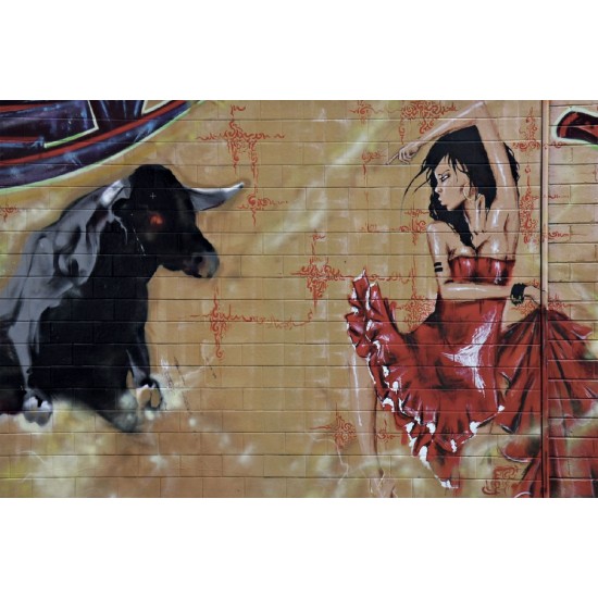 Wallpapers graffiti wall with a bull and a girl