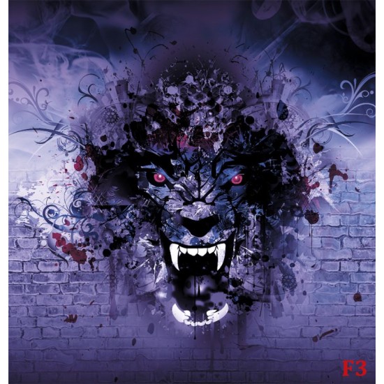 Wall mural painted tiger art painting graffiti in 2 colors