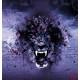 Wall mural painted tiger art painting graffiti in 2 colors