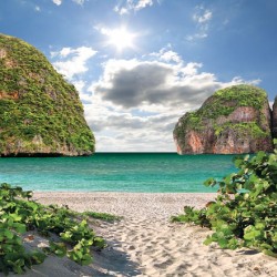 Wallpapers mural beautiful view of the beach