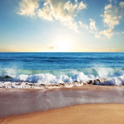 Wallpapers mural daily sea view of beach and waves