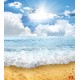 Wallpapers mural daily view sea wave sunlight Wallpapers mural daily view sea wave sunlight