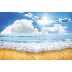 Wallpapers mural daily view sea wave sunlight