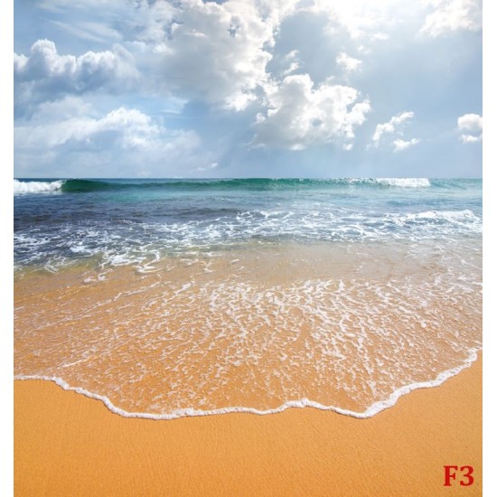 Wallpapers mural daily view sea wave sunlight 2 Wallpapers mural daily view sea wave sunlight 2