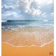 Wallpapers mural daily view sea wave sunlight 2 Wallpapers mural daily view sea wave sunlight 2