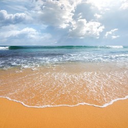 Wallpapers mural daily view sea wave sunlight 2