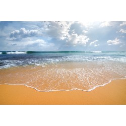Wallpapers mural daily view sea wave sunlight 2