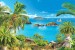 Wallpapers mural Sea view with palm trees in pots
