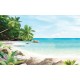 Wallpapers mural sea bay with palm trees and flowers