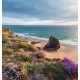 Wallpapers mural beautiful sea view and beach meadow Wallpapers mural beautiful sea view and beach meadow