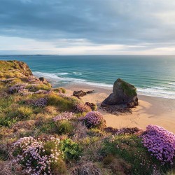 Wallpapers mural beautiful sea view and beach meadow