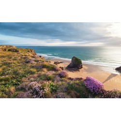 Wallpapers mural beautiful sea view and beach meadow