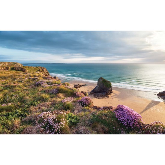Wallpapers mural beautiful sea view and beach meadow Wallpapers mural beautiful sea view and beach meadow