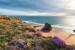 Wallpapers mural beautiful sea view and beach meadow