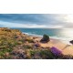 Wallpapers mural beautiful sea view and beach meadow Wallpapers mural beautiful sea view and beach meadow