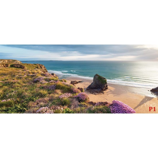 Wallpapers mural beautiful sea view and beach meadow Wallpapers mural beautiful sea view and beach meadow