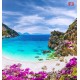 Photo mural sea bay beach with purple flowers