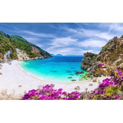 Photo mural sea bay beach with purple flowers