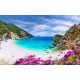 Photo mural sea bay beach with purple flowers