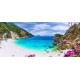 Photo mural sea bay beach with purple flowers