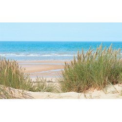 Wall murals sea view with reeds and dunes