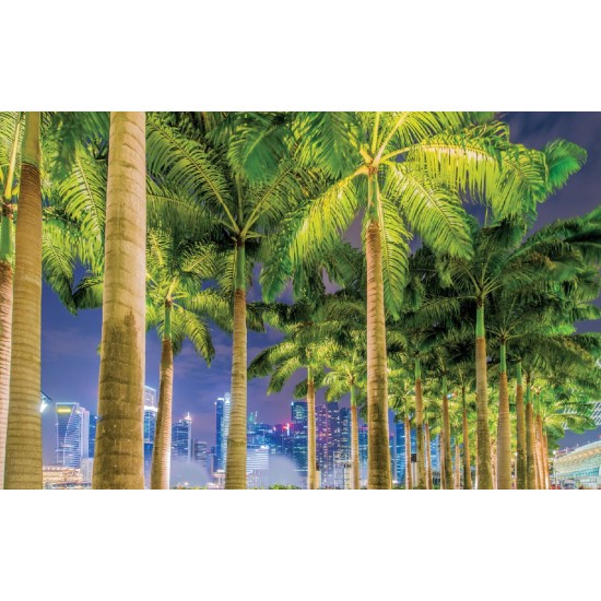 Wallpapers mural beautiful city view of the alley with palm Wallpapers mural beautiful city view of the alley with palm