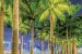Wallpapers mural beautiful city view of the alley with palm 