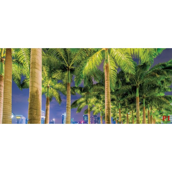 Wallpapers mural beautiful city view of the alley with palm Wallpapers mural beautiful city view of the alley with palm