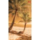 Wall murals beach with palm trees on orange background Wall murals beach with palm trees on orange background