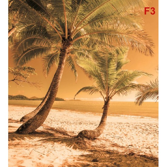 Wall murals beach with palm trees on orange background Wall murals beach with palm trees on orange background