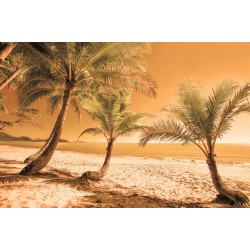 Wall murals beach with palm trees on orange background