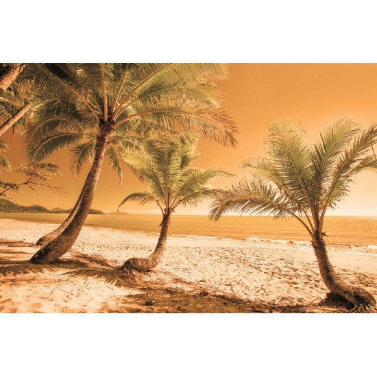 Wall murals beach with palm trees on orange background Wall murals beach with palm trees on orange background