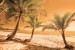 Wall murals beach with palm trees on orange background