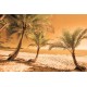 Wall murals beach with palm trees on orange background Wall murals beach with palm trees on orange background
