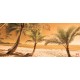 Wall murals beach with palm trees on orange background Wall murals beach with palm trees on orange background