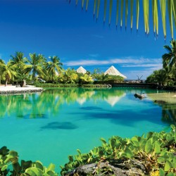 Wallpapers mural beautiful tropical view with palm trees and villas