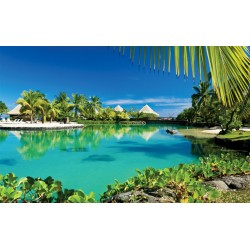 Wallpapers mural beautiful tropical view with palm trees and villas Wallpapers mural beautiful tropical view with palm trees and villas
