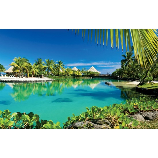 Wallpapers mural beautiful tropical view with palm trees and villas Wallpapers mural beautiful tropical view with palm trees and villas
