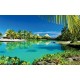 Wallpapers mural beautiful tropical view with palm trees and villas Wallpapers mural beautiful tropical view with palm trees and villas