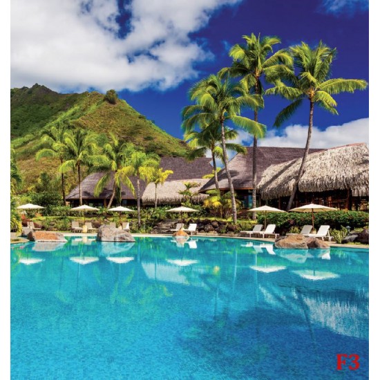 Wallpapers view with palms and swimming pool Wallpapers view with palms and swimming pool