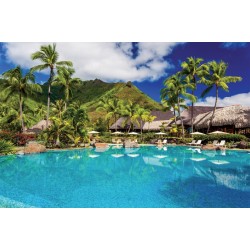 Wallpapers view with palms and swimming pool Wallpapers view with palms and swimming pool