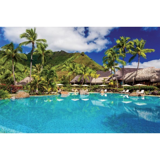 Wallpapers view with palms and swimming pool Wallpapers view with palms and swimming pool