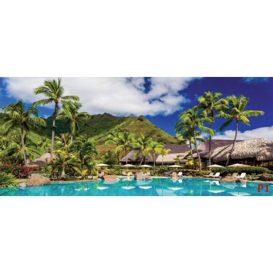 Wallpapers view with palms and swimming pool Wallpapers view with palms and swimming pool