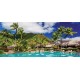 Wallpapers view with palms and swimming pool Wallpapers view with palms and swimming pool