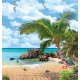 Wallpapers mural tropical view of the sea palms and parrot Wallpapers mural tropical view of the sea palms and parrot