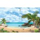 Wallpapers mural tropical view of the sea palms and parrot Wallpapers mural tropical view of the sea palms and parrot