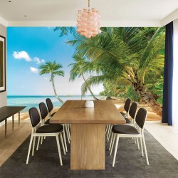 Wallpapers mural palm seashore close view Wallpapers mural palm seashore close view