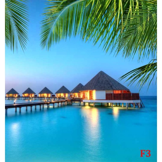 Wallpapers mural amazing night view Maldives with palm leaves