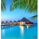 Wallpapers mural amazing night view Maldives with palm leaves